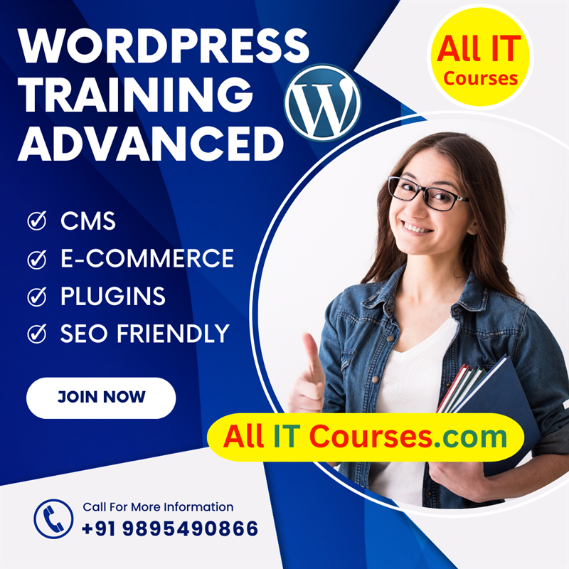 Wordpress Training in Dubai