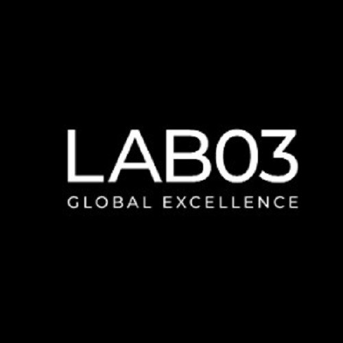 Lab 03