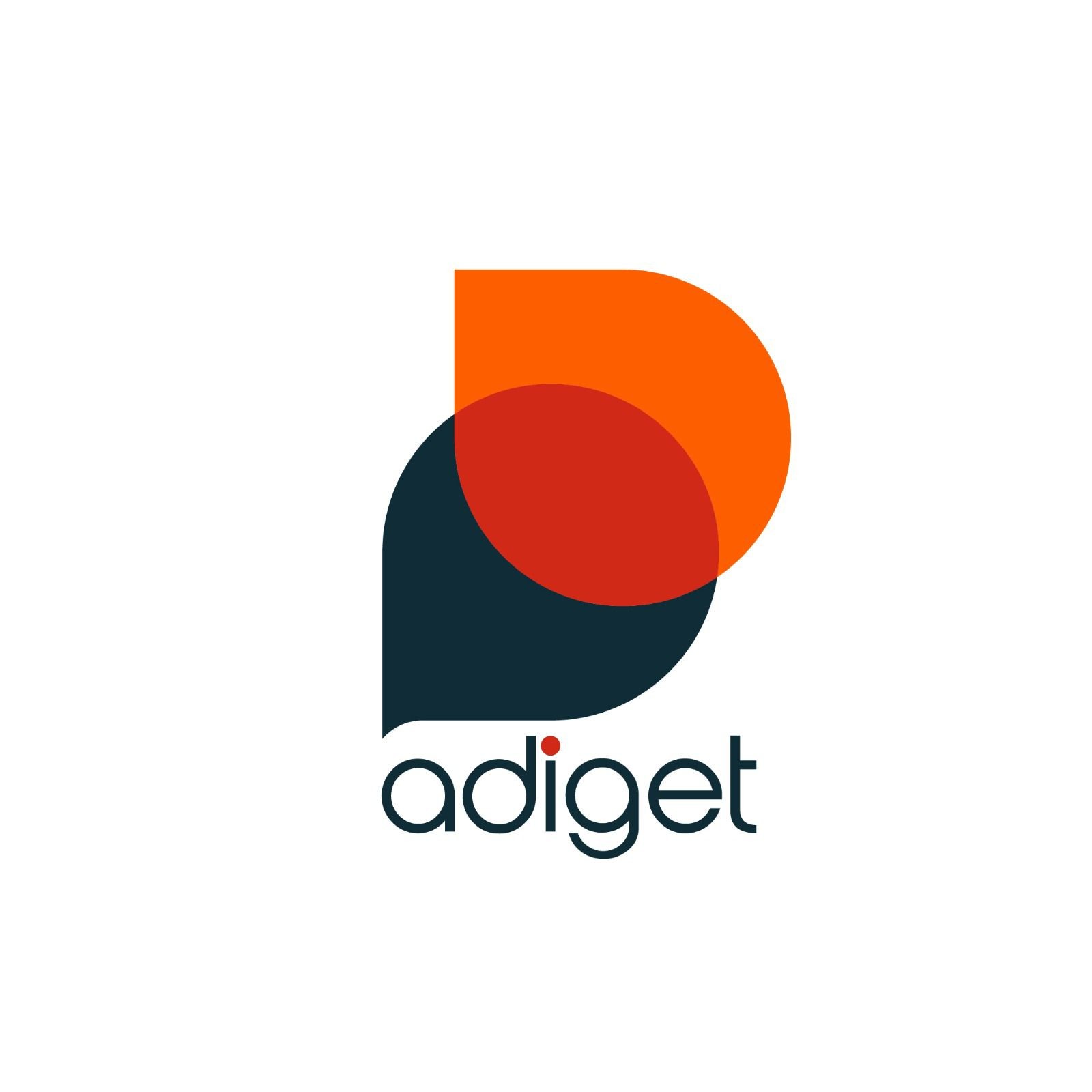 Adiget LLC