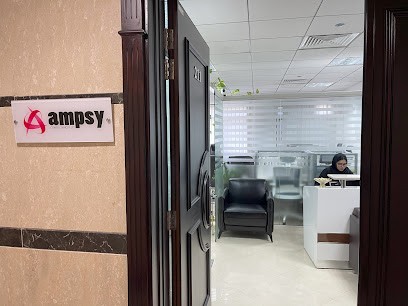 AMPSY CONSULTANCY LLC