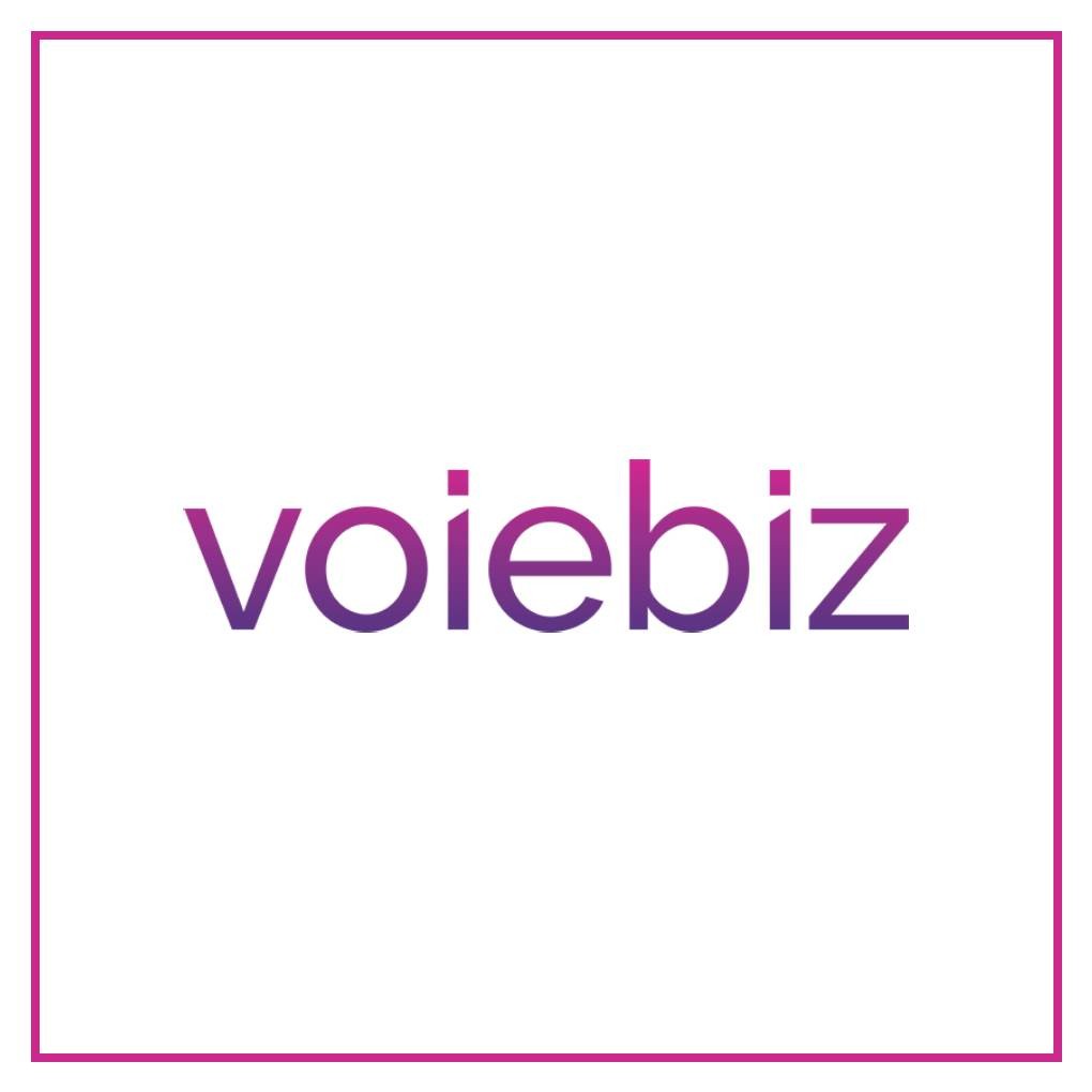 Voiebiz