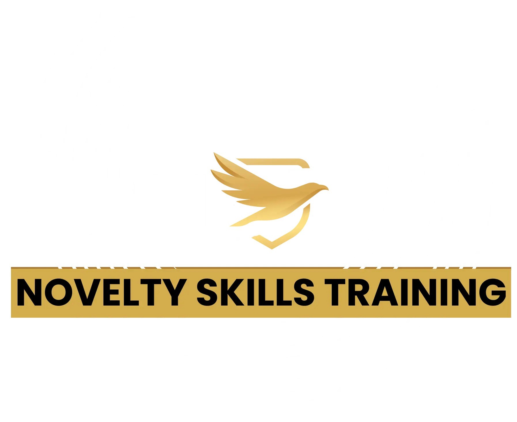 Novelty Skill Training