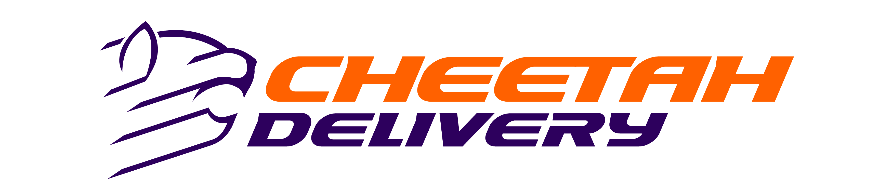 Cheetah Delivery